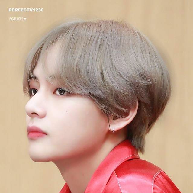 방탄dna 프로필