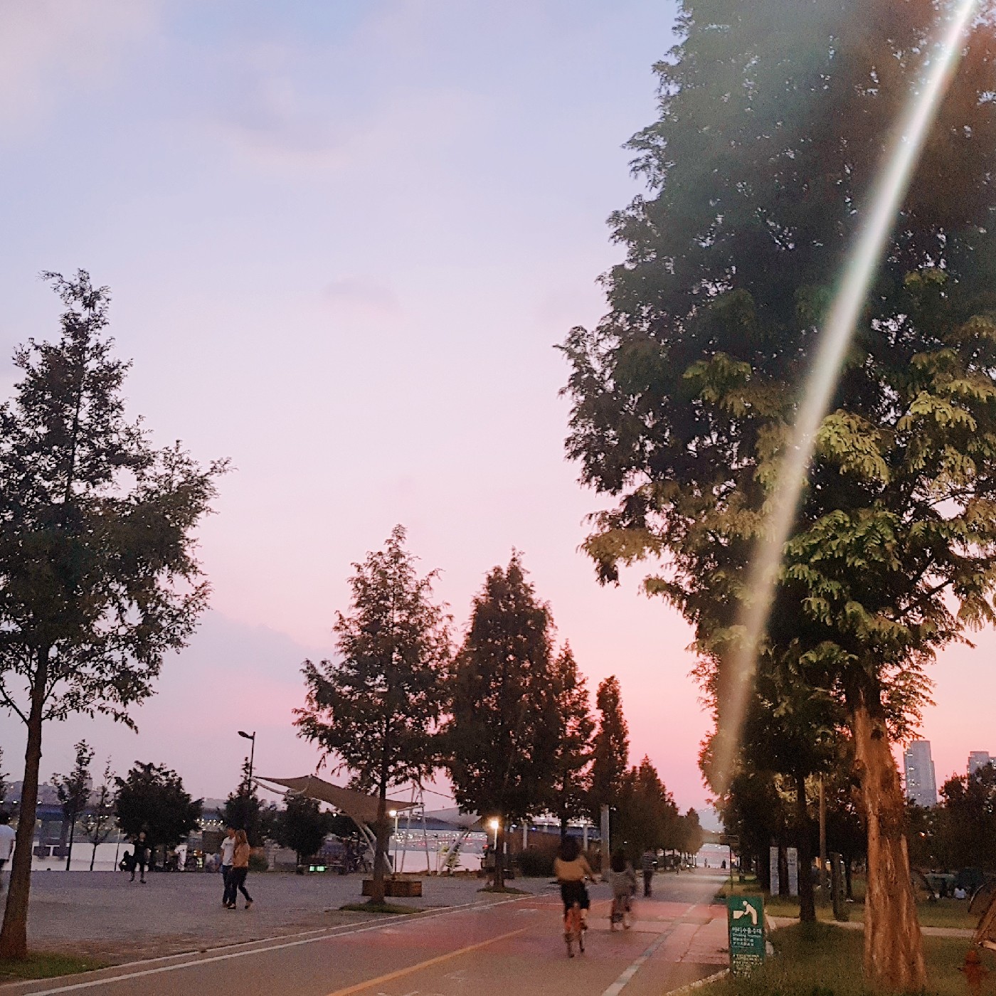 dbgn0929 프로필