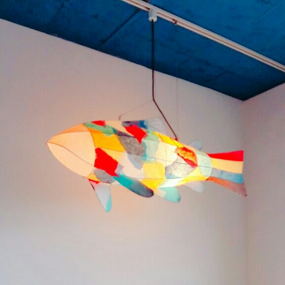 도도쮸 프로필