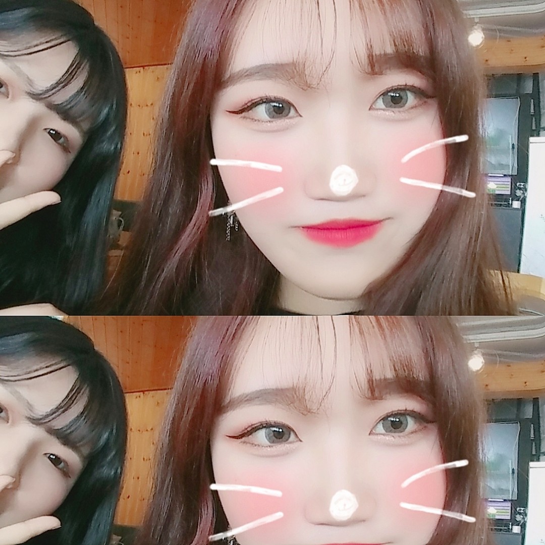 코덕화덕립덕 프로필