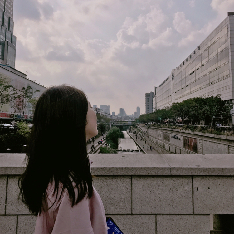조화8 프로필