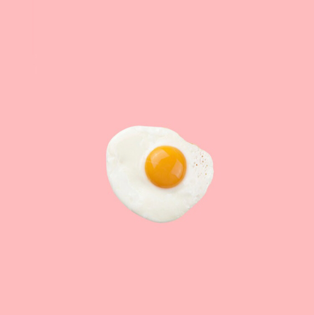 현세 프로필