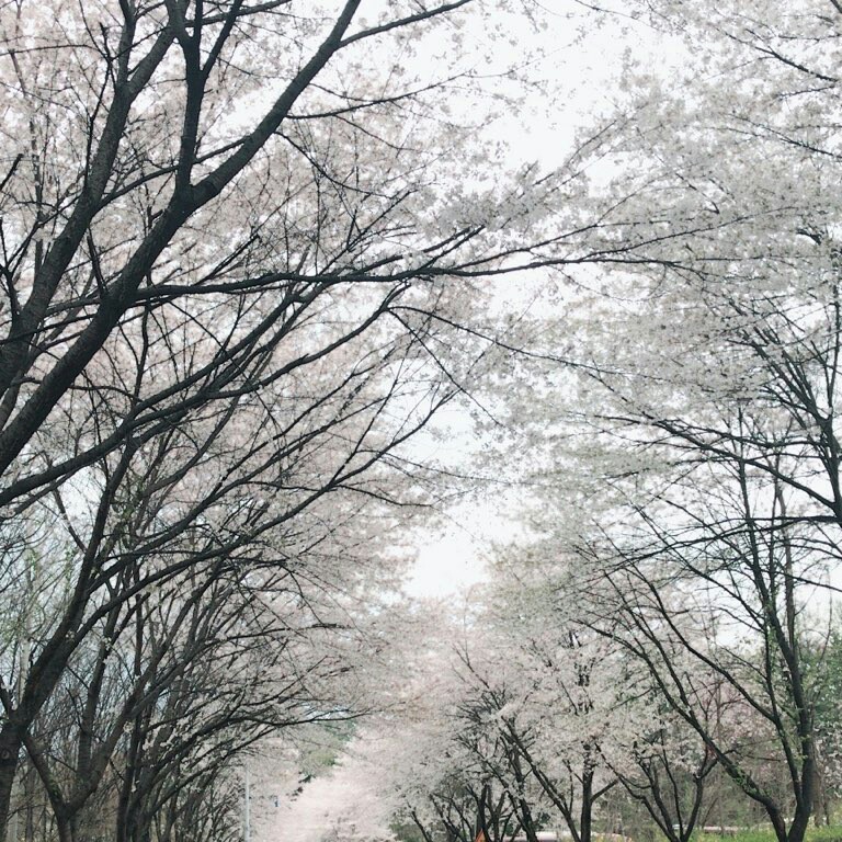 gotqks 프로필