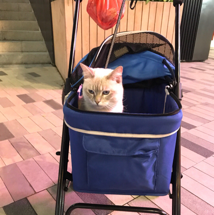 사슴반 프로필