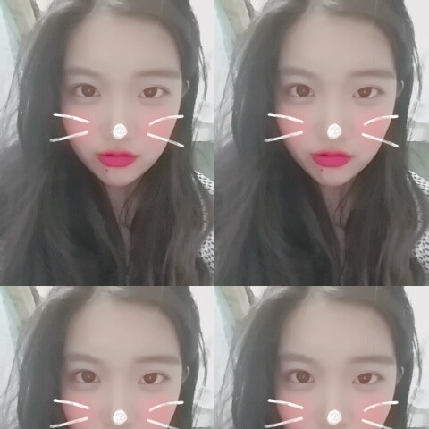 본쭈 프로필