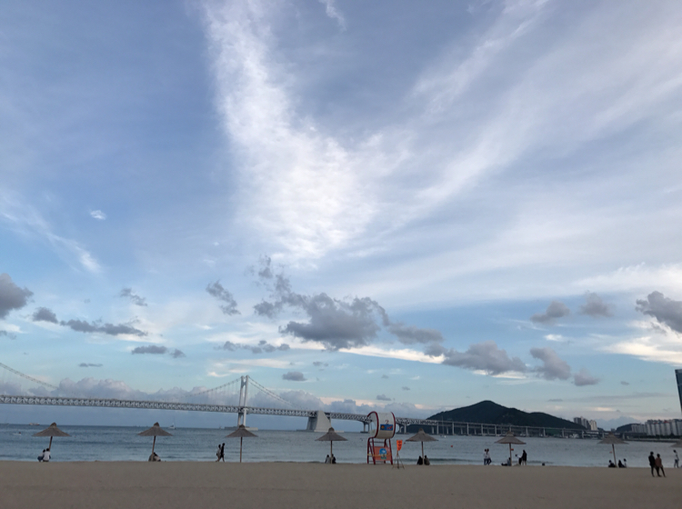 멍뚜리 프로필
