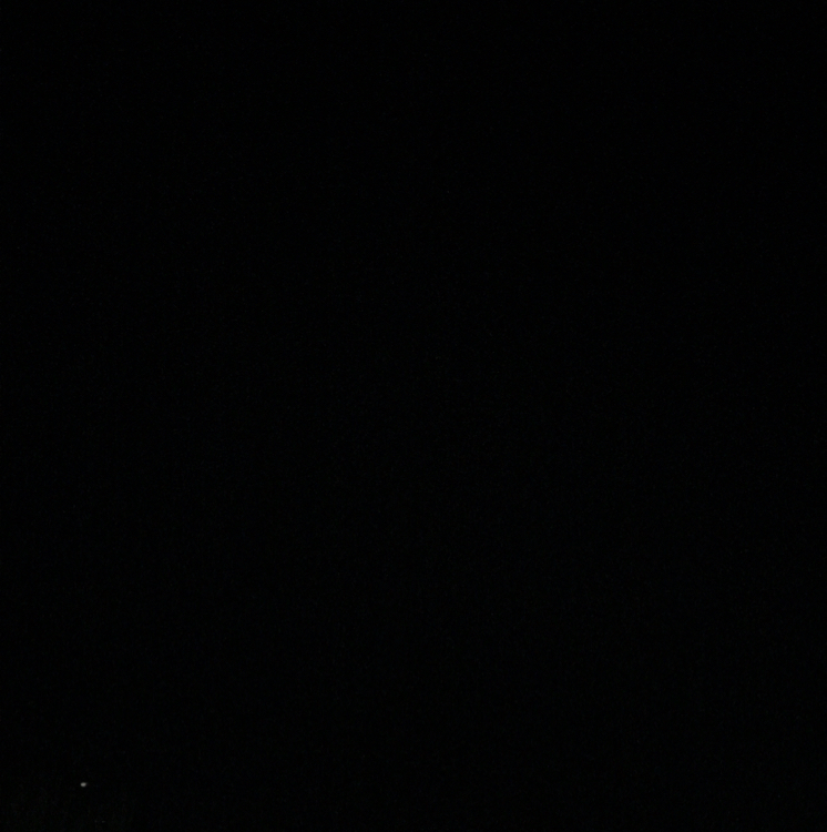 ywyw 프로필