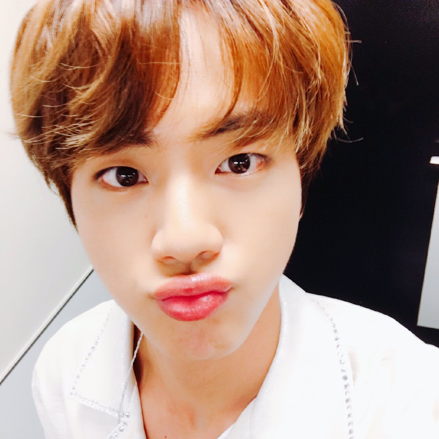 뿌뿌뿌뿌이 프로필