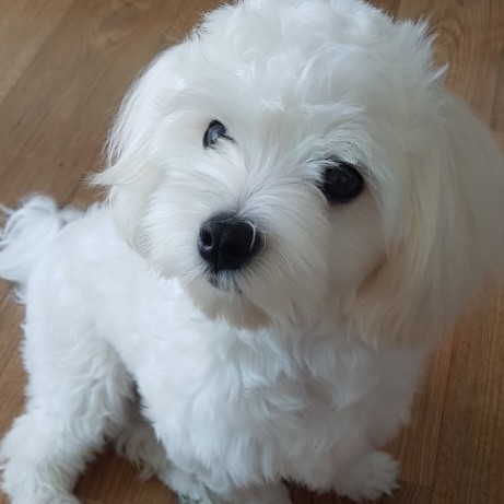 여신쑤쑤 프로필