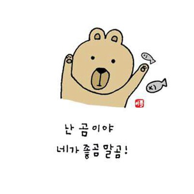 yourUj 프로필