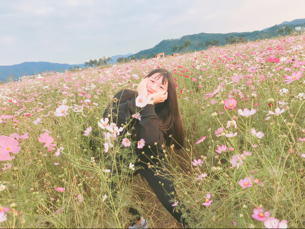 마잌드롭 프로필