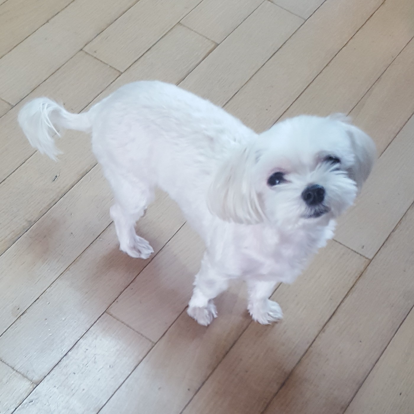 bansu97 프로필