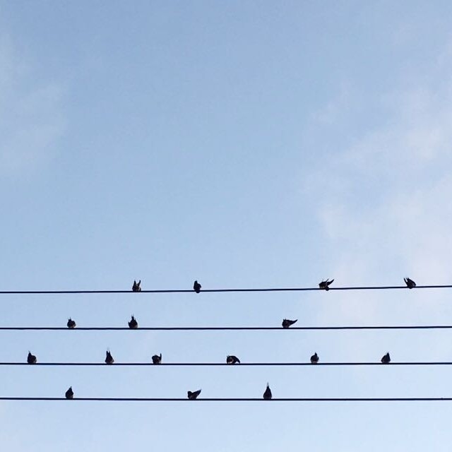 리뷰어 프로필