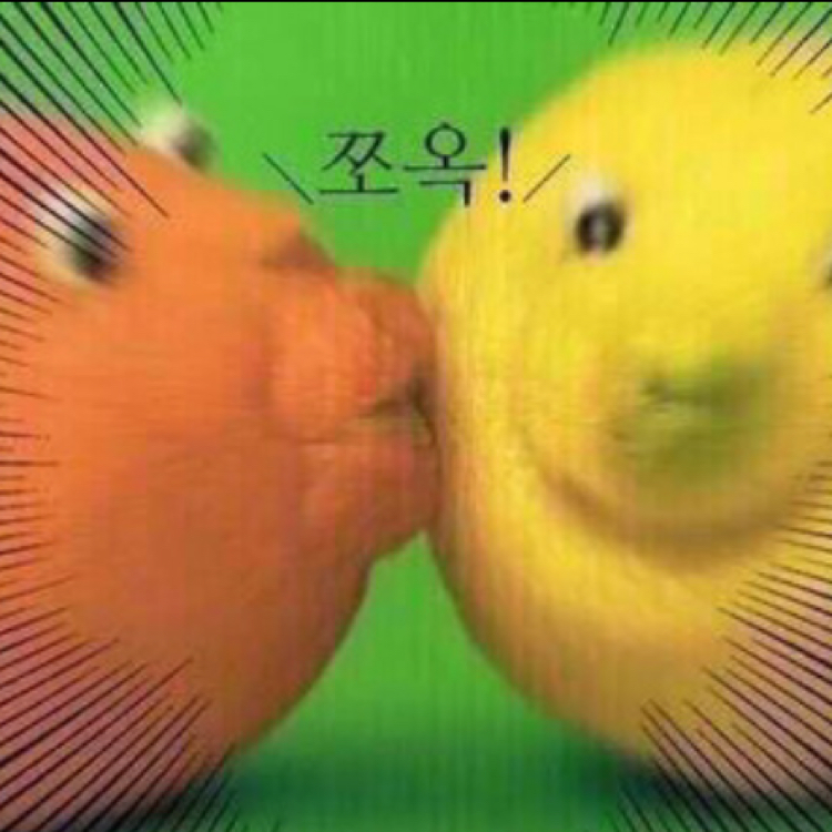 에록이님 프로필
