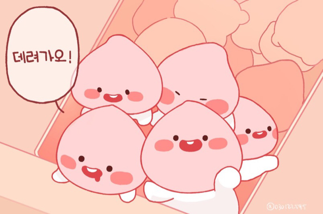 뀨욤 프로필