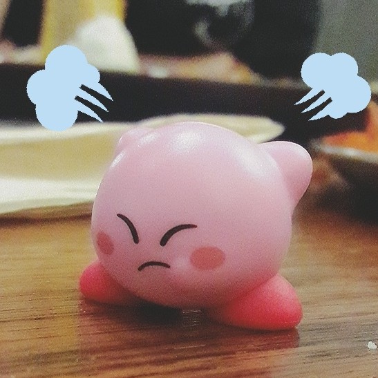 포코 프로필