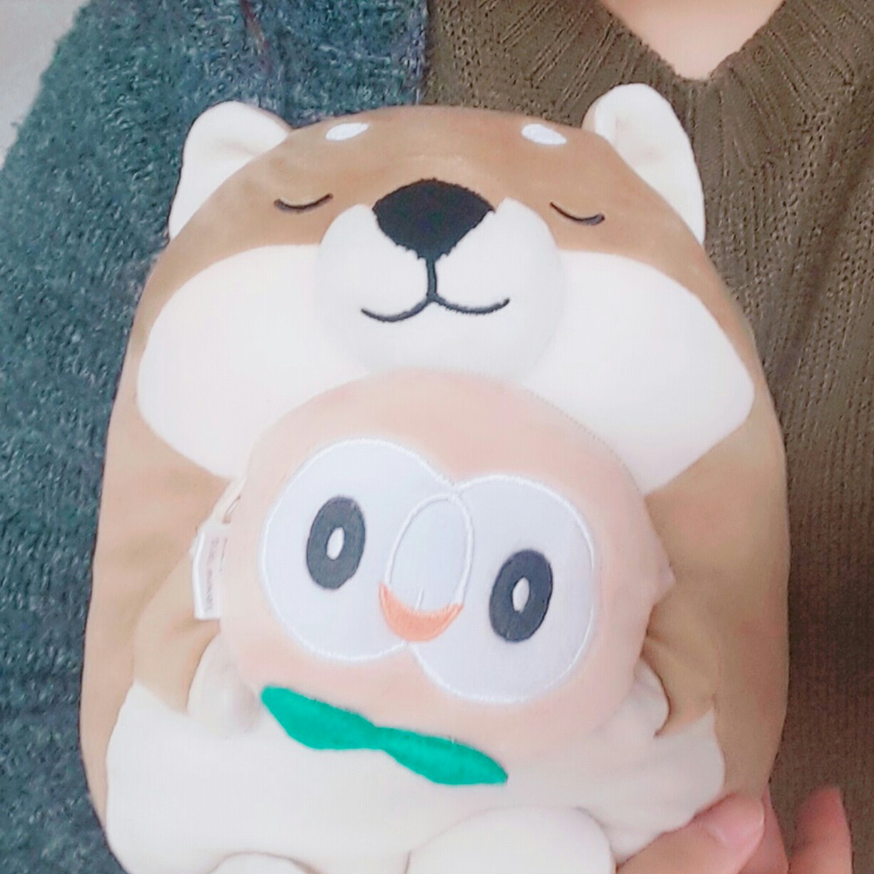 이히스프리 프로필