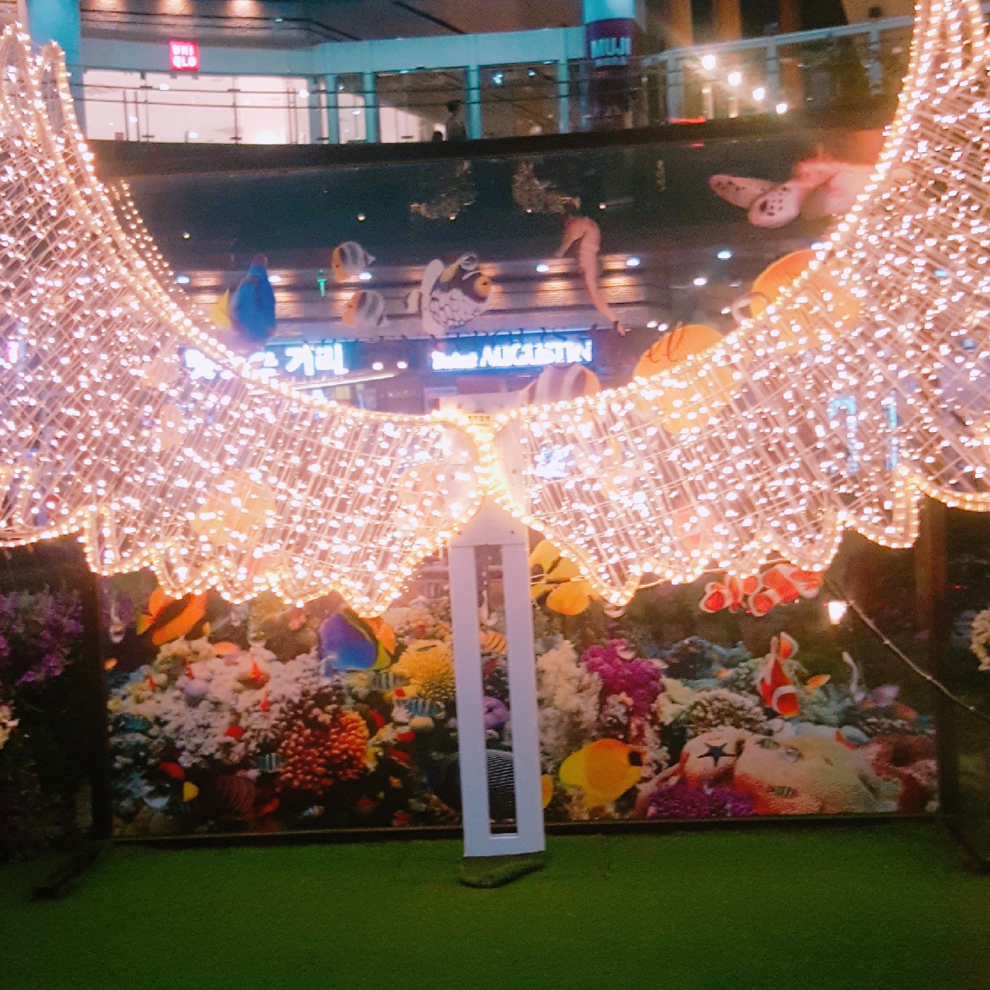 <oco> 프로필