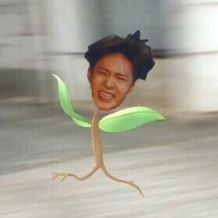 차카야안차카야? 프로필