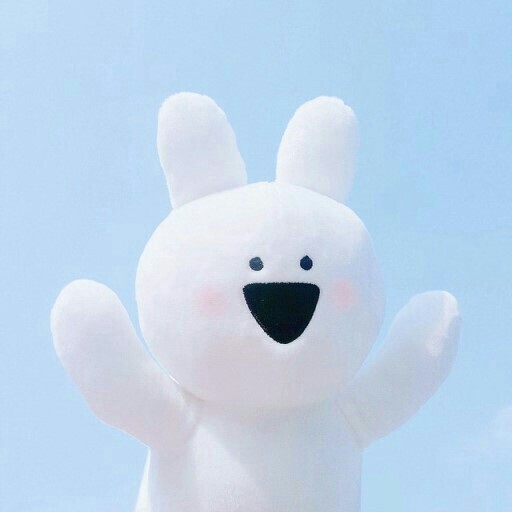ㄹㅊㄱㄹ 프로필