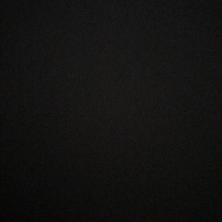 은닐리 프로필