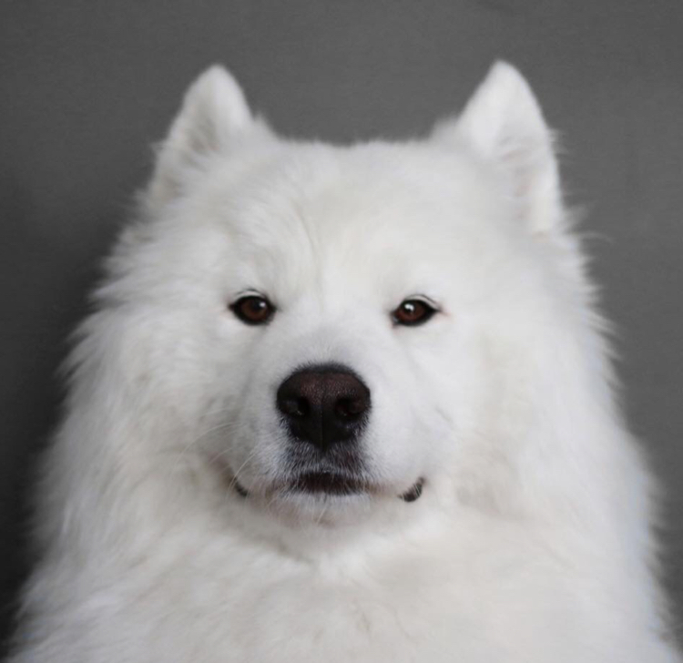 쥐와고양이 프로필