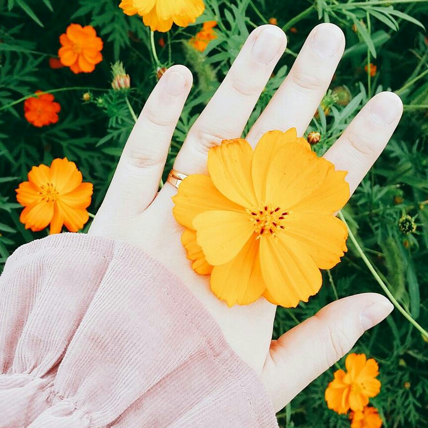 배뚜비 프로필