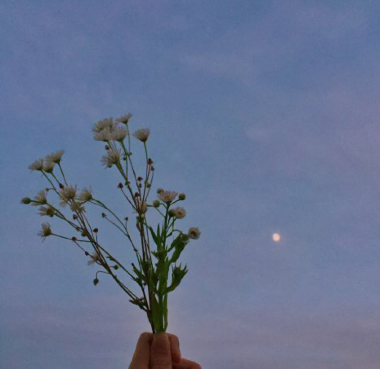다우니_향 프로필