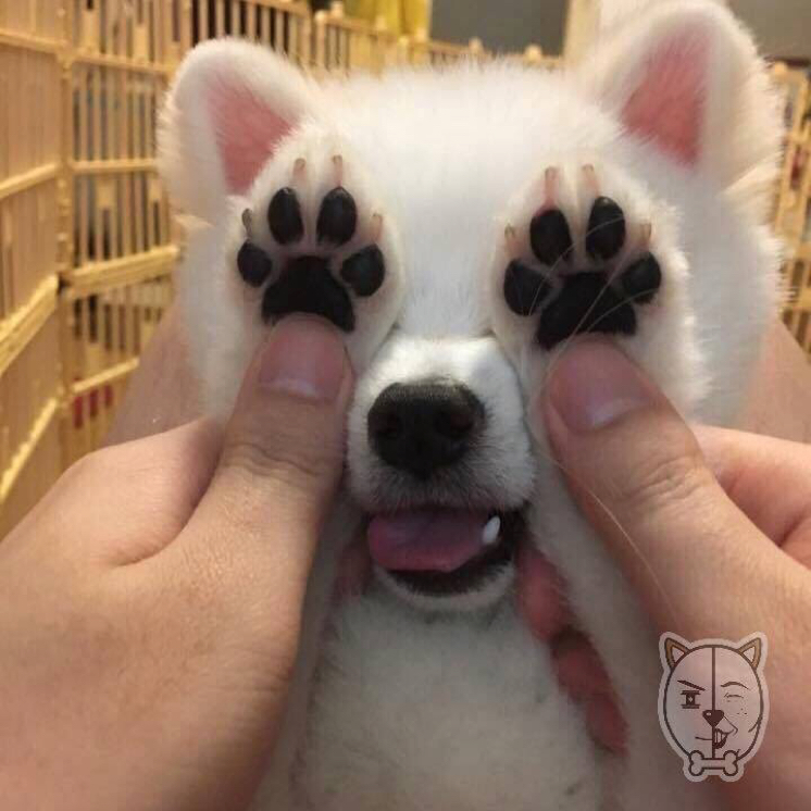 miyo_0 프로필