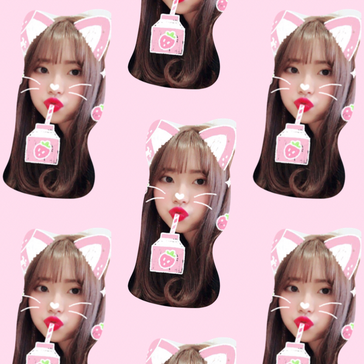 yls343 프로필