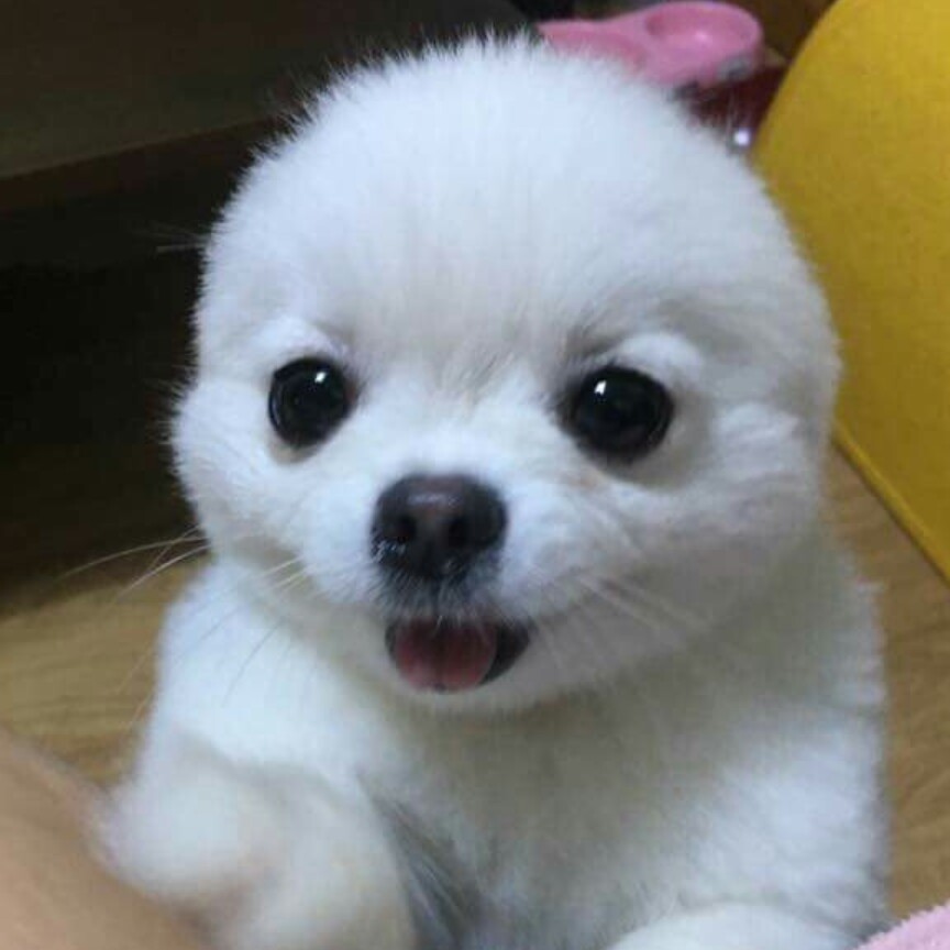 효정0219 프로필