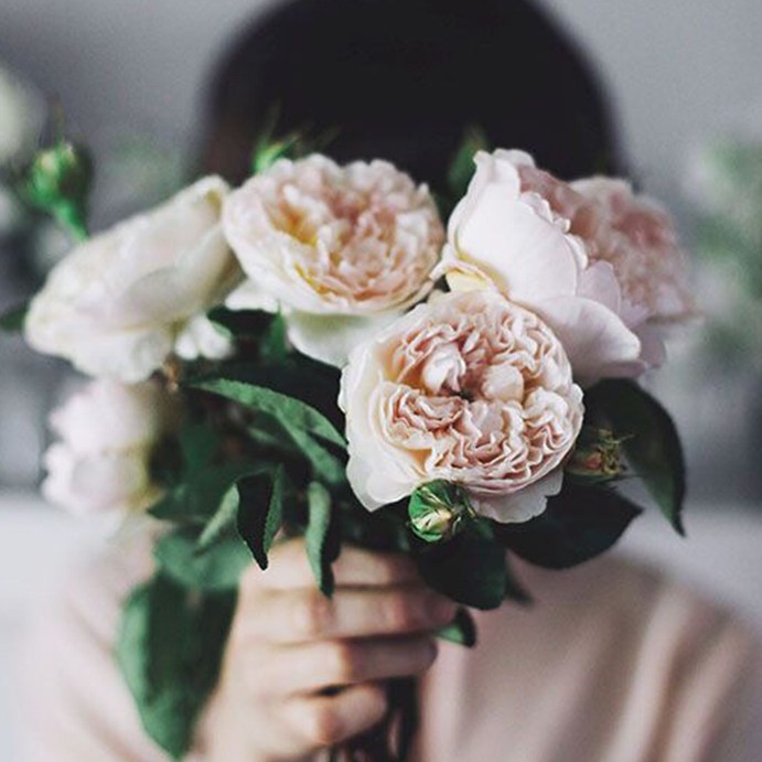 꿀탕♡ 프로필