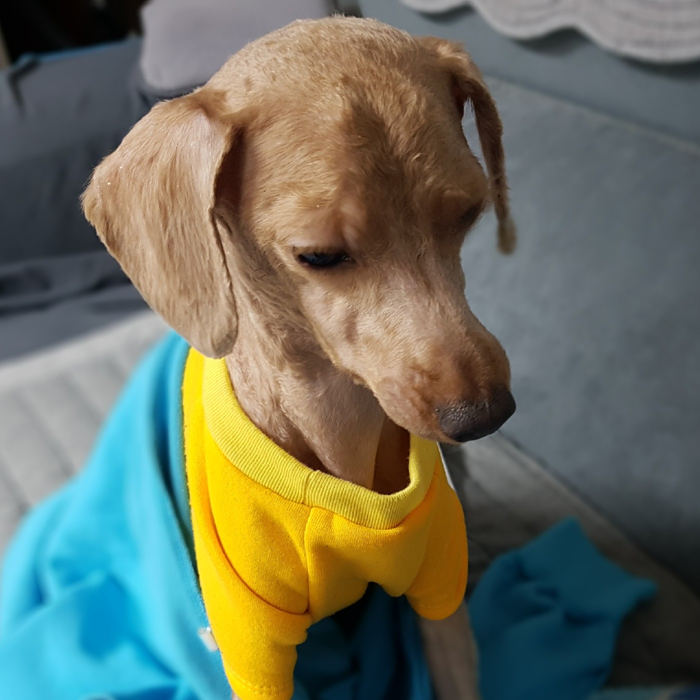 모종동왈왈이 프로필