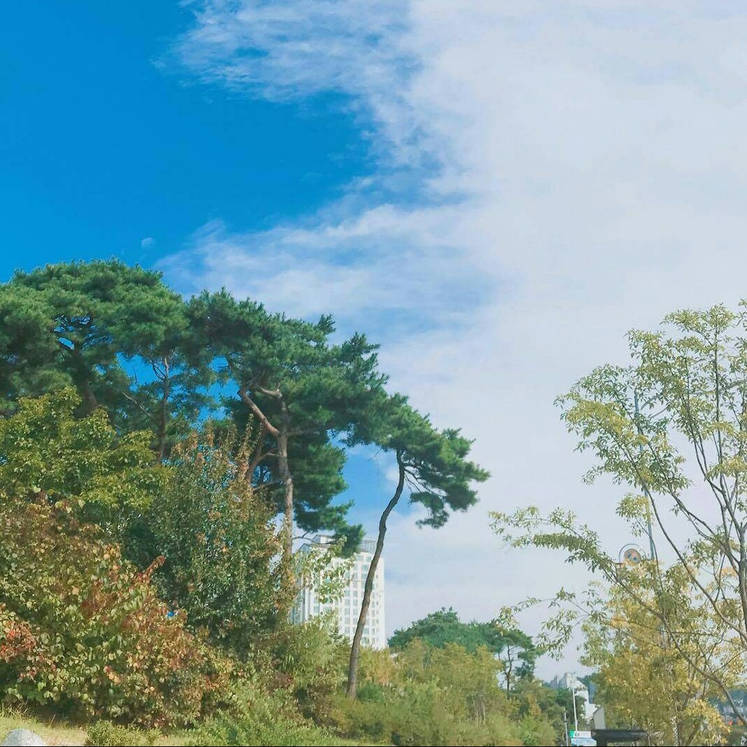 leeguanakk 프로필