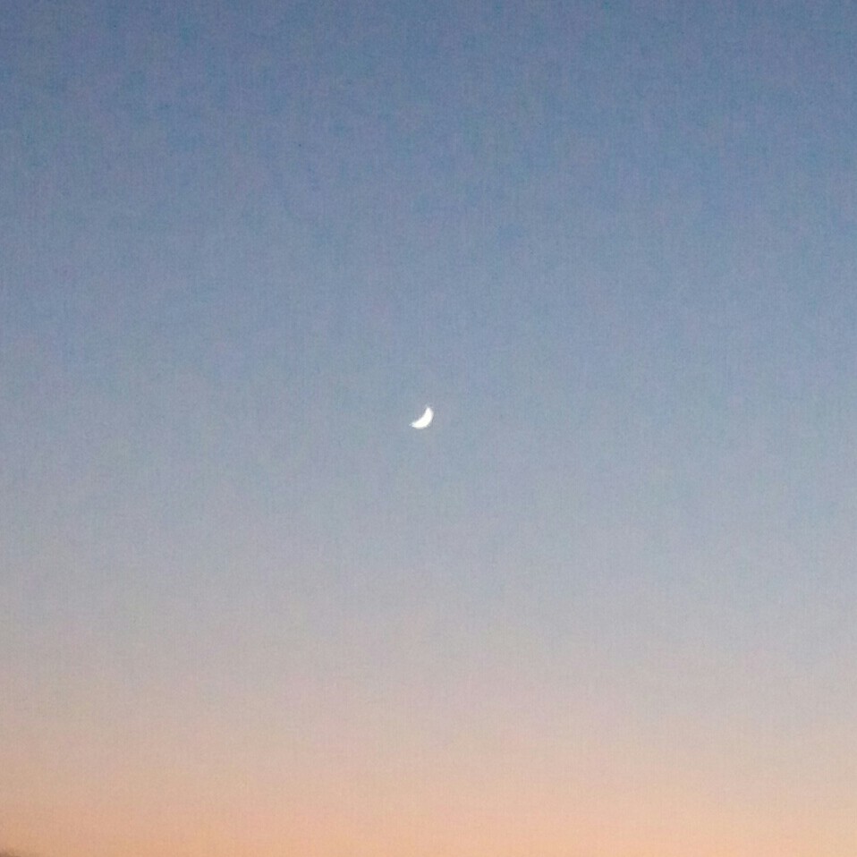 붙박이별_ 프로필