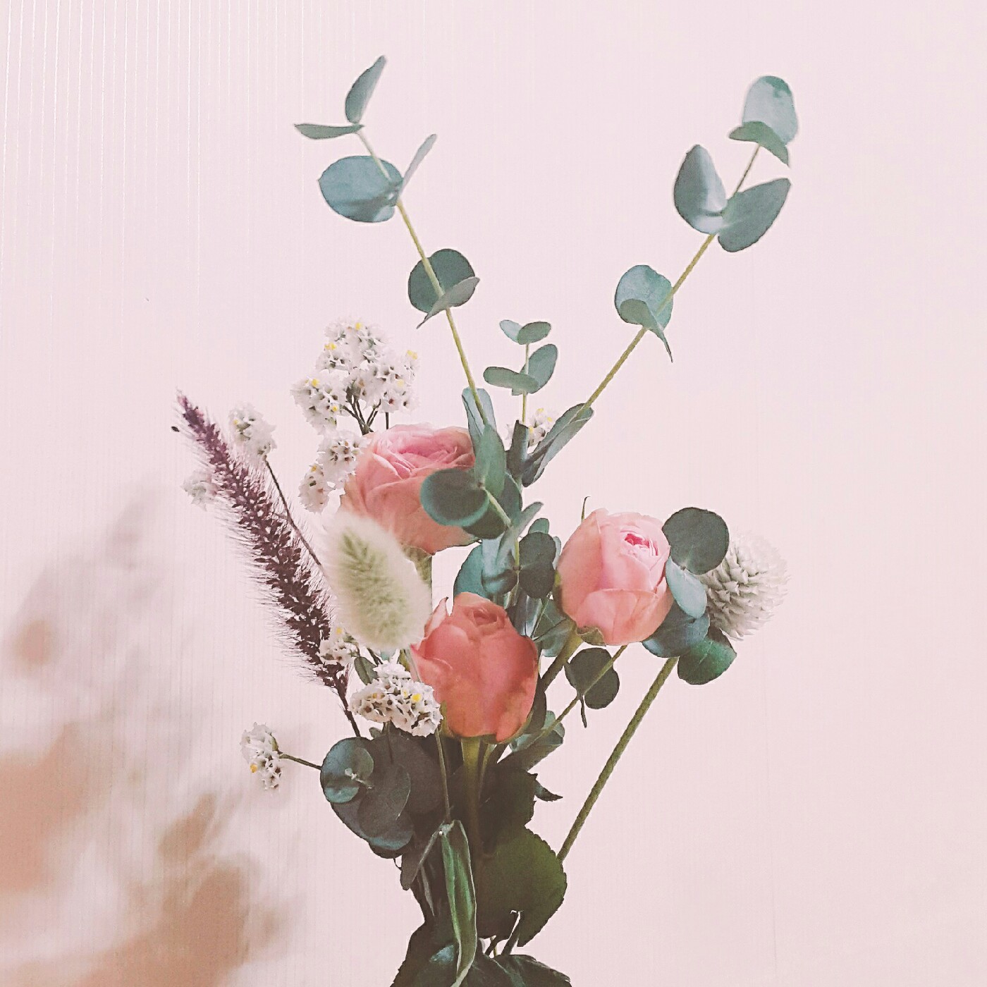 myong_2 프로필