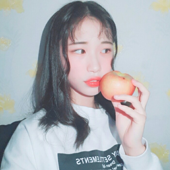 쪼코더쿠 프로필
