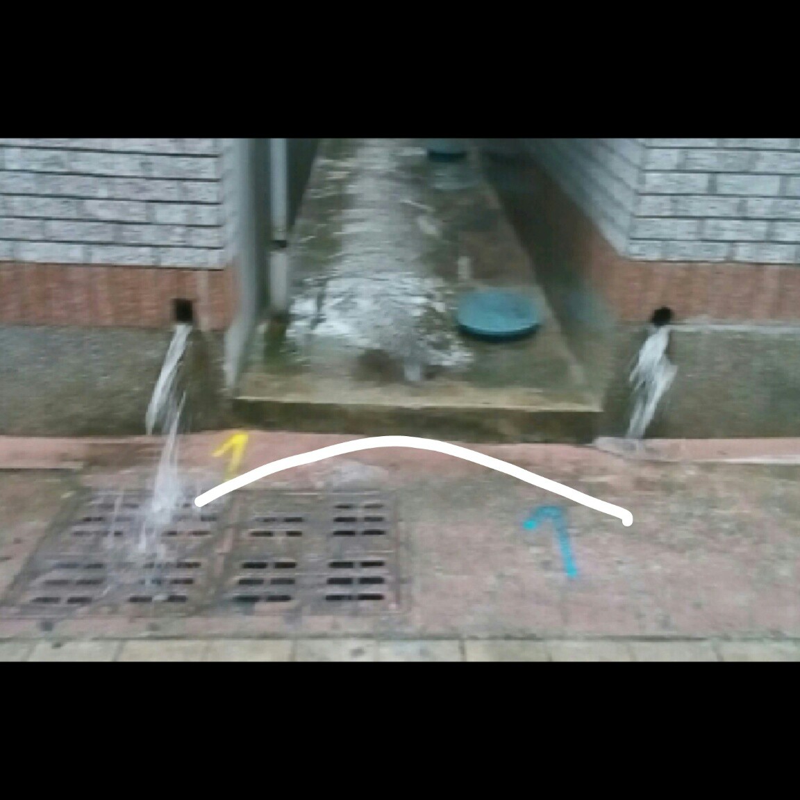 손녜 프로필