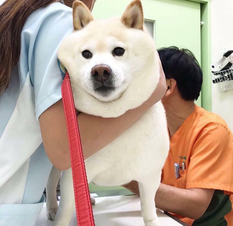 우굴꾸굴 프로필