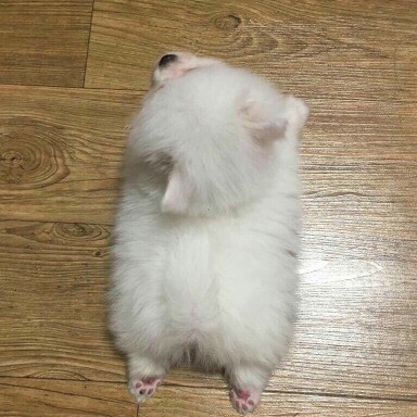 리뷰어 프로필