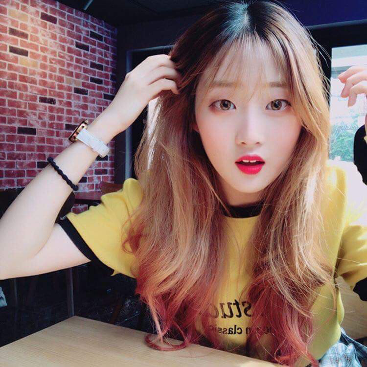 와꾸대장 프로필