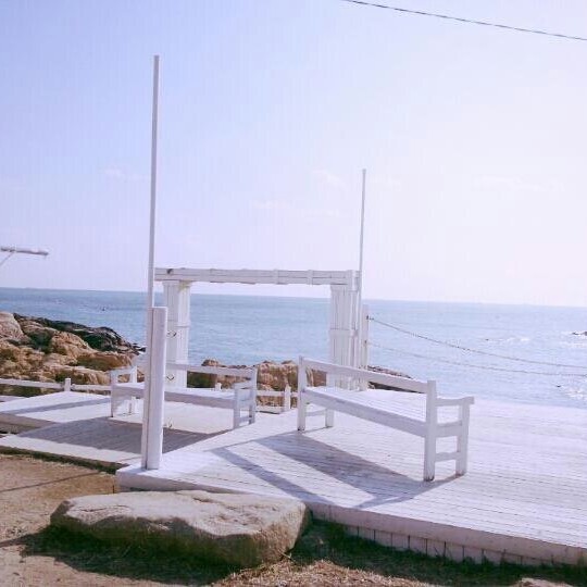 연리지사랑 프로필