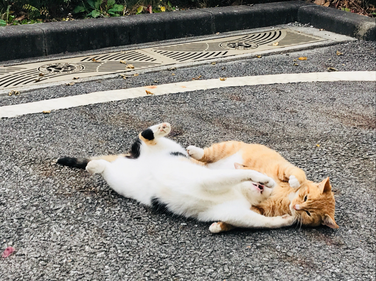 강우주 프로필