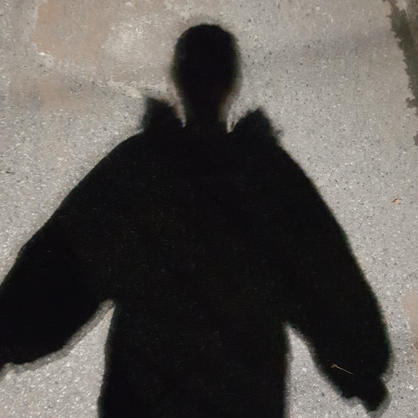 효롤로로 프로필