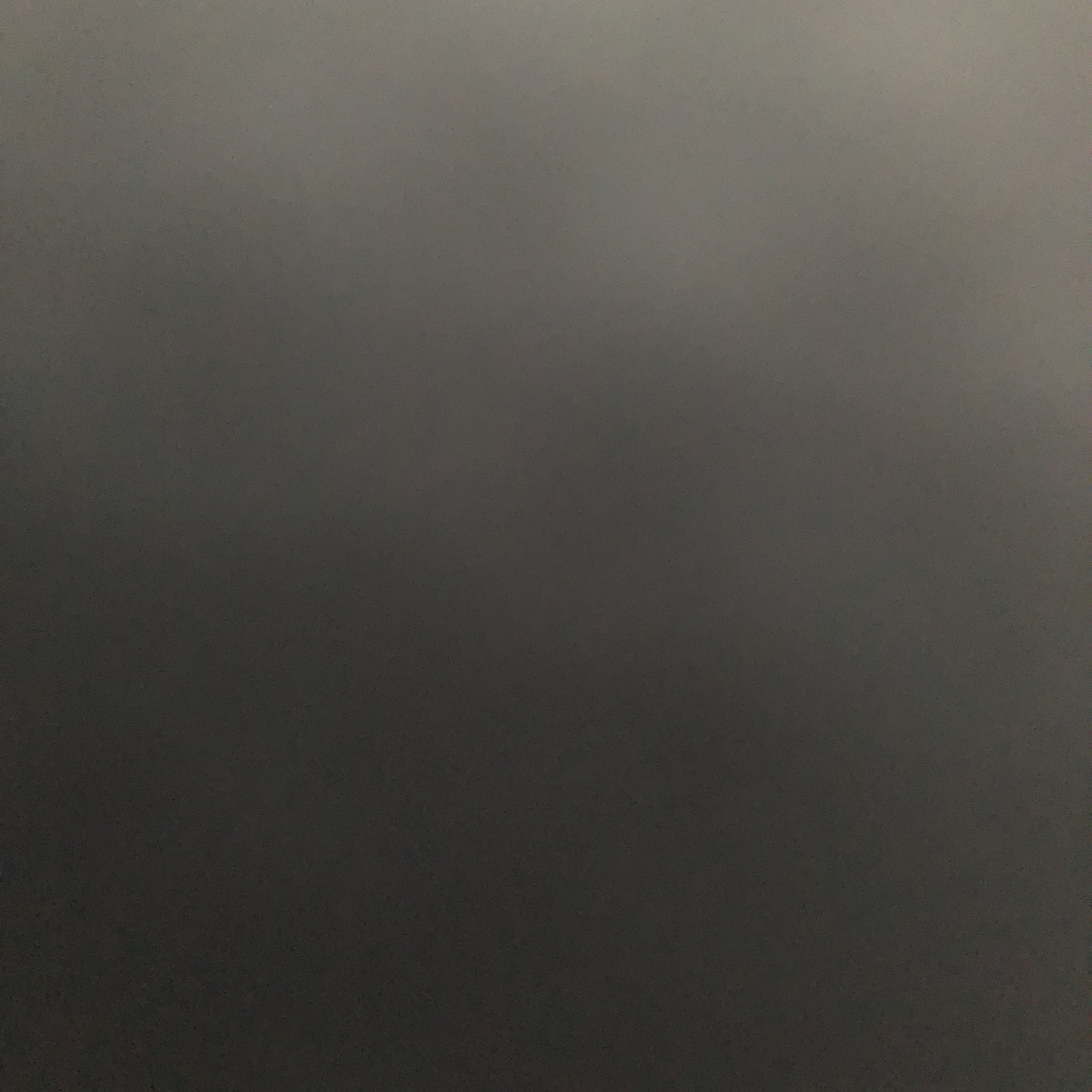 재넌 프로필