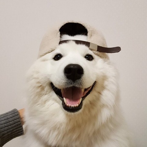 제나제나 프로필