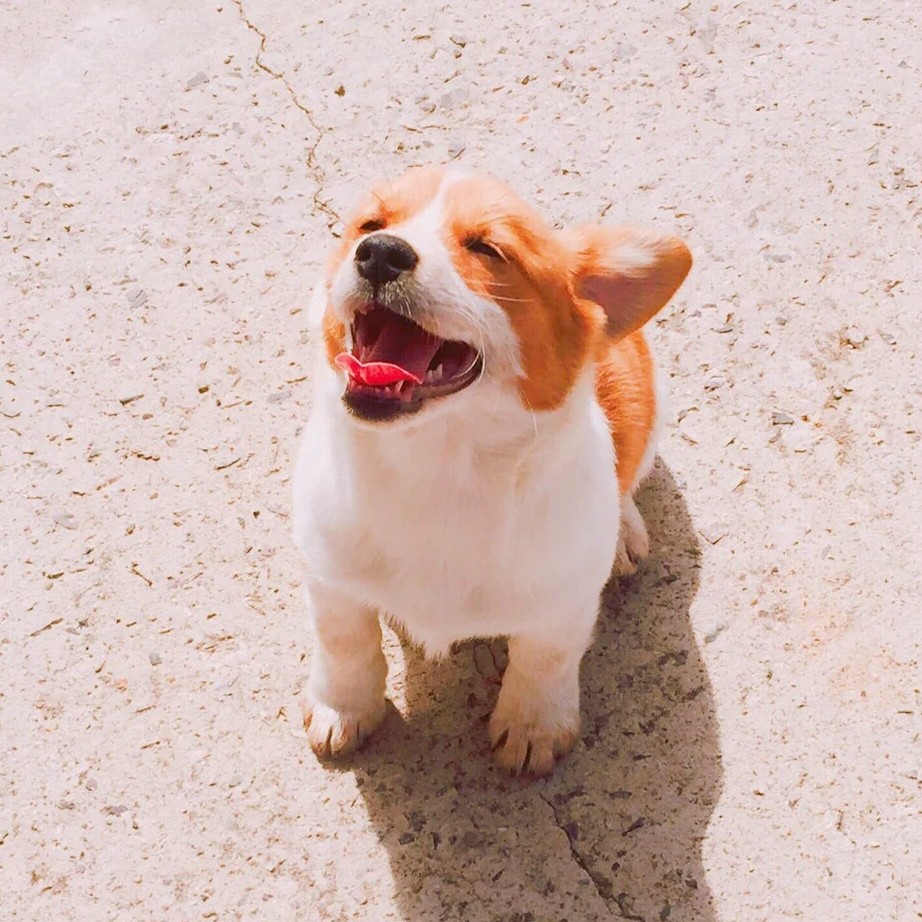 리뷰어 프로필