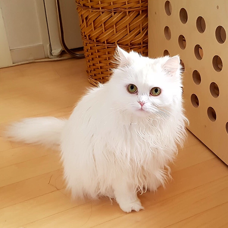 리뷰어 프로필