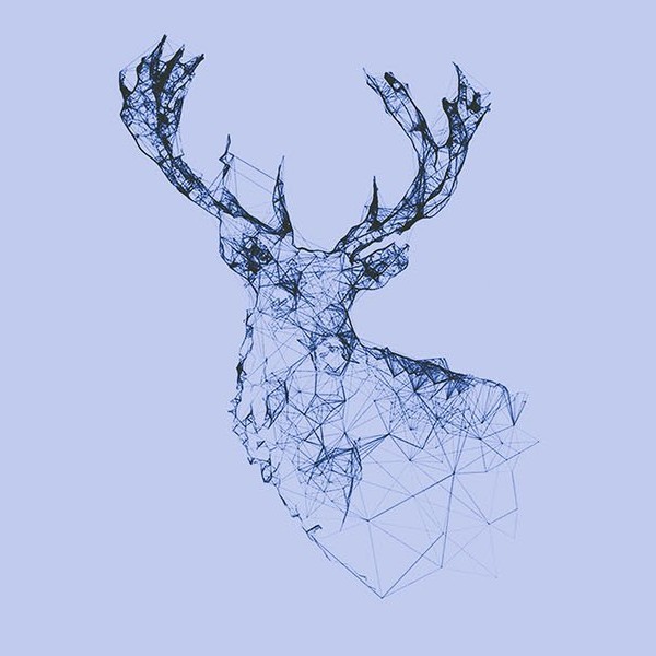 핫티 프로필