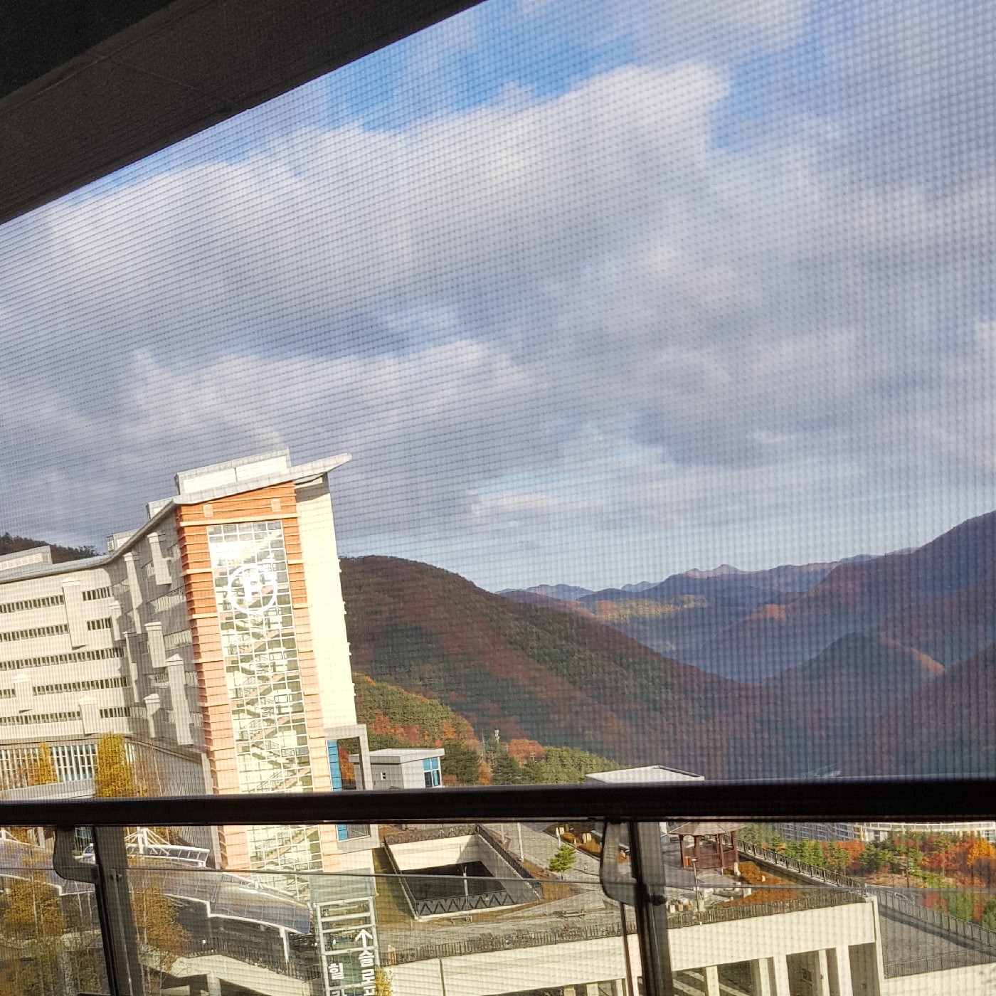 달달메이 프로필